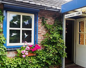 Ingang van Vakantiehuisje in Deurne met bloeiende planten, De Peel, Noord Brabant.