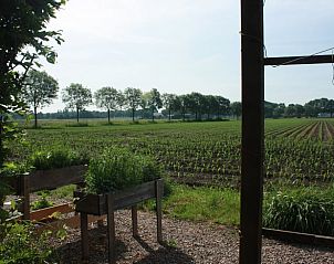 Vogelspotten in de natuur bij Vakantiehuisje in Deurne, De Peel, Noord Brabant.