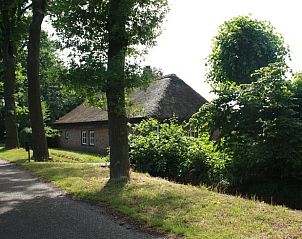 Vogels in natuurlijke omgeving bij Vakantiehuisje in Deurne, De Peel, Noord Brabant.
