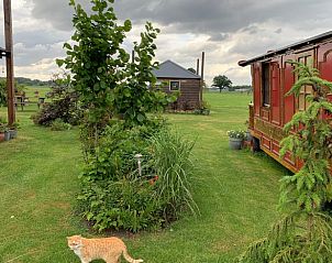 Groene tuin met wandelpad bij Vakantiehuis in Deurne, omgeven door natuur in De Peel, Noord Brabant.
