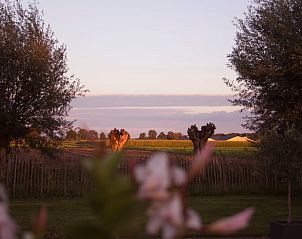 Adembenemend uitzicht vanaf Vakantiehuisje in De Rips, De Peel, Noord Brabant tijdens zonsondergang.