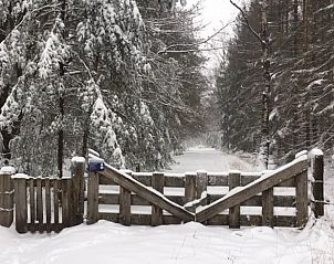 Besneeuwde bossen rondom Vakantiehuisje in De Rips, De Peel, Noord Brabant voor winterse wandelingen.