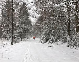 Sneeuwlandschap bij Vakantiehuisje in De Rips, De Peel, Noord Brabant voor een winterse ervaring.