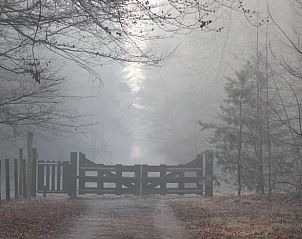 Verblijf 402502 - Vakantiewoning De Peel - Huisje in De Rips