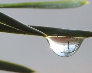Verblijf 402502 - Vakantiewoning De Peel - Huisje in De Rips