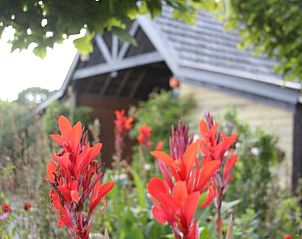 Vakantiehuisje in De Rips omgeven door kleurrijke bloemen, gelegen in de serene natuur van De Peel, Noord Brabant.