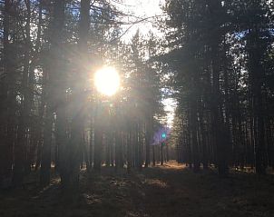 Verblijf 402503 - Vakantiewoning De Peel - Vakantiehuisje in De Rips