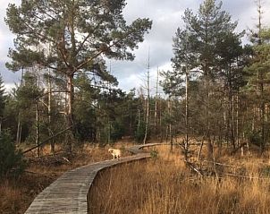 Verblijf 402503 - Vakantiewoning De Peel - Vakantiehuisje in De Rips