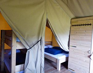 Unterkunft 402601 - Zelthaus De Peel - Safaritent incl toilet