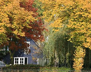 Guest house 410102 - Holiday property Kempen - Vakantiehuis in Budel