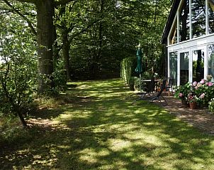 Groene tuin bij Vakantiehuisje in Lage Mierde, perfect voor ontspanning in de natuur van de Kempen, Noord Brabant.