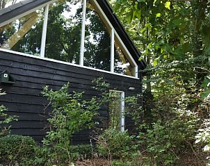 Bosrijke omgeving van Vakantiehuisje in Lage Mierde, een serene vakantiewoning in de Kempen, Noord Brabant.