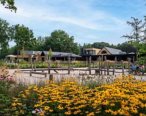 Guest house 410462 - Holiday property Kempen - Brabants licht