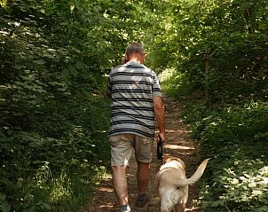 Guests walk with dogs through the wooded area surrounding Holiday Home in Bergeijk, a perfect base.