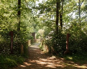 Beautiful nature trails around Holiday home in Bergeijk, perfect for walks in the Kempen.