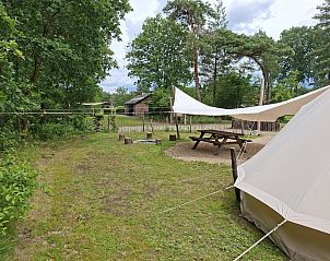 Verblijf 410522 - Tenthuis Kempen - Basecamp Bell tent