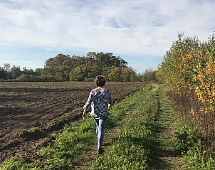 Guest house 410817 - Holiday property Kempen - Vakantiehuisje in Baarle Nassau