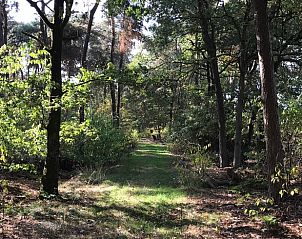 Guest house 410817 - Holiday property Kempen - Vakantiehuisje in Baarle Nassau