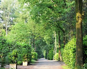 Verblijf 410826 - Chalet Kempen - Parc de Kievit 6