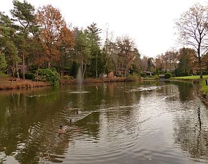 Verblijf 410826 - Chalet Kempen - Parc de Kievit 6