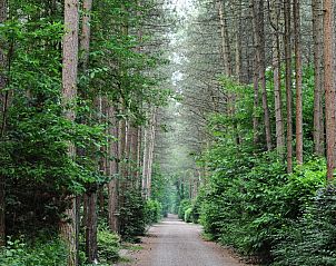 Verblijf 410826 - Chalet Kempen - Parc de Kievit 6