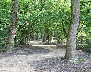 Verblijf 410826 - Chalet Kempen - Parc de Kievit 6