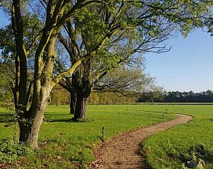 Verblijf 410826 - Chalet Kempen - Parc de Kievit 6