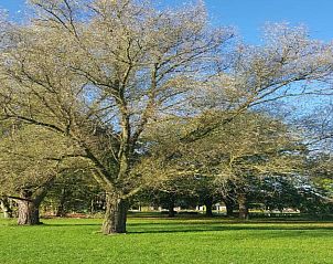 Verblijf 410826 - Chalet Kempen - Parc de Kievit 6