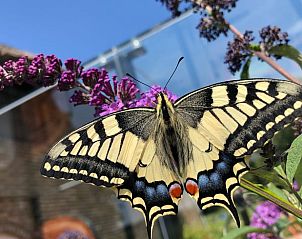 Guest house 410829 - Holiday property Kempen - Vakantiehuis in Baarle-Nassau