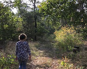 Guest house 410843 - Holiday property Kempen - Vakantiehuis in Baarle-Nassau