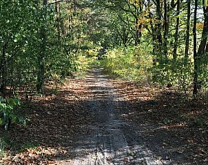 Guest house 410844 - Holiday property Kempen - Vakantiehuisje in Baarle-Nassau