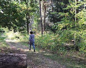 Guest house 410844 - Holiday property Kempen - Vakantiehuisje in Baarle-Nassau