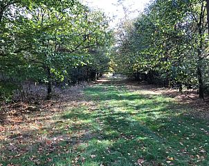 Guest house 410844 - Holiday property Kempen - Vakantiehuisje in Baarle-Nassau