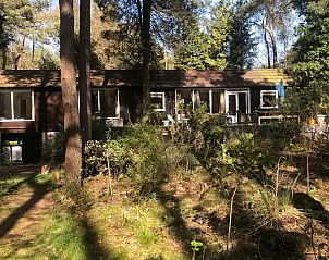 Guest house 410845 - Holiday property Kempen - Vrijstaand boshuis