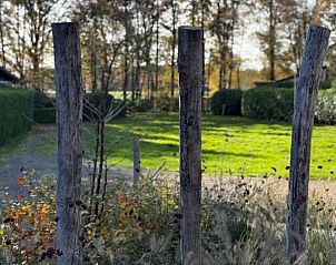 Verblijf 410857 - Bungalow Kempen - Bungalow 353