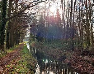 Prachtig boslandschap in omgeving van Huisje in Oirschot, vakantiewoning in Oirschot.