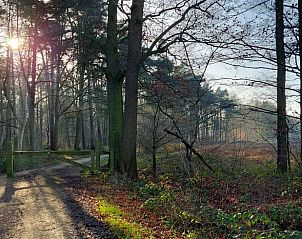 Bosrijke wandelpaden bij Huisje in Oirschot, vakantiehuis in Oirschot, Kempen.