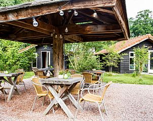 Genieen Sie die Ruhe auf der Terrasse des Ferienhauses in Oirschot, das in der grnen Umgebung von Kempen in Nordbrabant liegt.