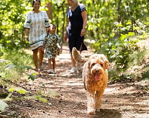 Unterkunft 411212 - Ferienhaus Kempen - Wood Lodge Waterzicht | 4 personen