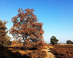 Unterkunft 411218 - Ferienhaus Kempen - Villa Waterzicht Luxe met Hottub | 4 personen