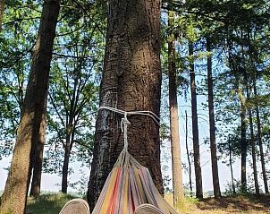Huisje in Bladel, ontspannen in een hangmat tussen de bomen in Noord Brabant.