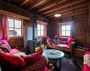 Huisje in Bladel, knusse zithoek met houtkachel in vakantiehuis in Noord Brabant.