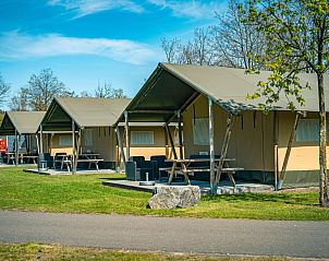 Guest house 411609 - Tent house Kempen - Safaritent