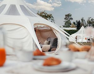 Guest house 411610 - Tent house Kempen - Lotus Belle tent