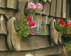 Verblijf 411613 - Vakantiewoning Kempen - Vakantiehuis in Bladel