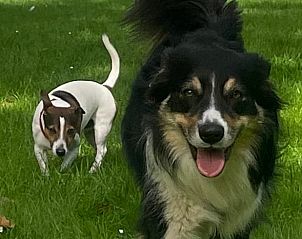 Verblijf 411613 - Vakantiewoning Kempen - Vakantiehuis in Bladel