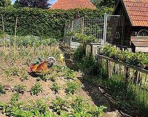 Verblijf 411613 - Vakantiewoning Kempen - Vakantiehuis in Bladel