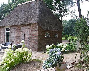 Guest house 411807 - Holiday property Kempen - Huisje in Eersel