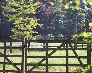 Guest house 411807 - Holiday property Kempen - Huisje in Eersel