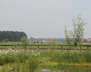 Guest house 411807 - Holiday property Kempen - Huisje in Eersel